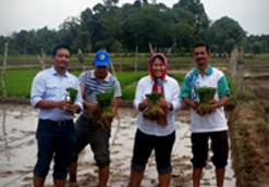 pembinaan_petani_padi_1_news