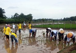 pembinaan_petani_padi_2_news