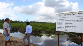 Mangrove, Restore Ecosystem River Flow