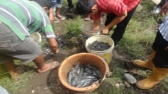 First Catfish Farming