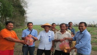 Watermelon Farming Training