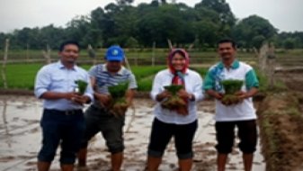 West Aceh Rice Farmers Development